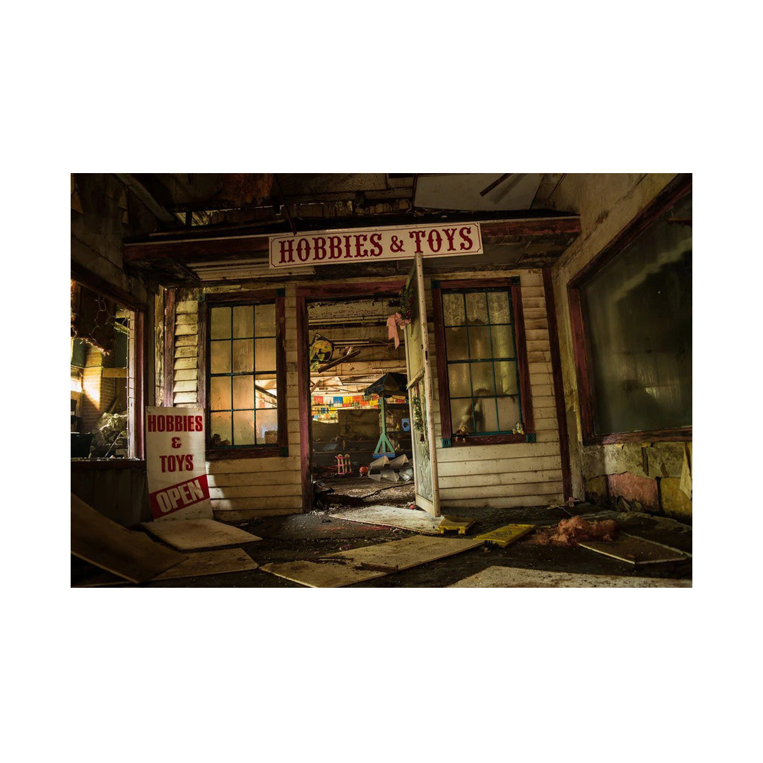 Hobbies and Toys (Abandoned Toy Store) - Wall Print