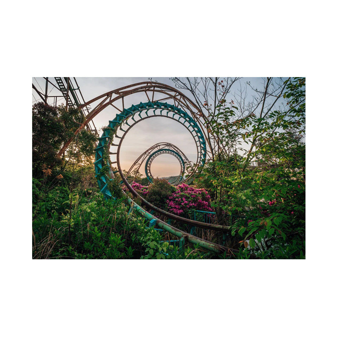 Nara Dreamland Photo Bundle - Signed Collection One